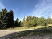 53 Arai Žalumos Jūsų Naujai Pradžiai - nuotraukos Nr. 16