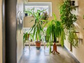 Parduodamas šviesus, šiltas ir jaukus 3 - nuotraukos Nr. 21