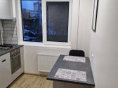 Išnuomojamas naujai kapitaliai suremontuotas - nuotraukos Nr. 9