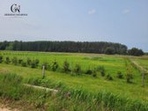 Kurkite Savo Namus Gamtos Ir Miesto Balanse – - nuotraukos Nr. 9