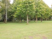 Parduodama sodyba šalia Gruzdžių, Šiaulių raj. - nuotraukos Nr. 14