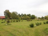 Parduodama sodyba šalia Gruzdžių, Šiaulių raj. - nuotraukos Nr. 13
