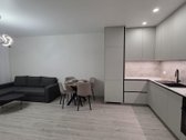 Išnuomojamas naujai įrengtas, šviesus ir - nuotraukos Nr. 4