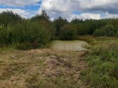 Parduodama sodyba su 60a. namų valdos sklypu. - nuotraukos Nr. 7