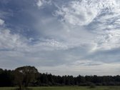 Parduodamas 4,10ha žemės ūkio paskirties - nuotraukos Nr. 3
