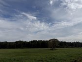 Parduodamas 4,10ha žemės ūkio paskirties - nuotraukos Nr. 2