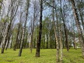 Parduodamas tvarkingas, šviesus 2 kambarių - nuotraukos Nr. 15