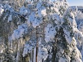 Parduodamas jaukus, patogiai ir funkcionaliai - nuotraukos Nr. 31