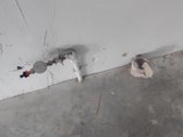 Nuomojamos komercinės paskirties patalpos 140m2. - nuotraukos Nr. 7