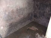 2 kambarių butas su priklausiniais ir žemės - nuotraukos Nr. 10