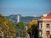 Modernus 2 kambarių butas Naujamiestyje  - nuotraukos Nr. 13