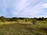 Parduodamas 10,8715 ha žemės ūkio paskirties - nuotraukos Nr. 3