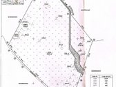 Parduodamas 10,8715 ha žemės ūkio paskirties - nuotraukos Nr. 8