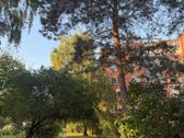 Nuomojamas šviesus, jaukus ir skoningai - nuotraukos Nr. 13