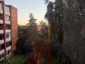 Nuomojamas šviesus, jaukus ir skoningai - nuotraukos Nr. 16