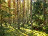 Kviečiame Į Atvirus Namus Spalio 18 D. - nuotraukos Nr. 16