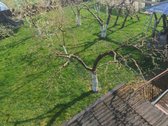 Parduodamas 132.84m² Mūrinis Namas Šiaulių - nuotraukos Nr. 8