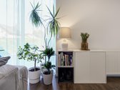 Parduodamas 3 kambarių butas nedideliame, vos - nuotraukos Nr. 8