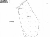 Parduodami 2, bendro 2,29 ha ploto, žemės - nuotraukos Nr. 24