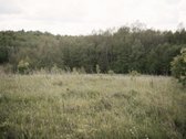 Parduodami 2, bendro 2,29 ha ploto, žemės - nuotraukos Nr. 4