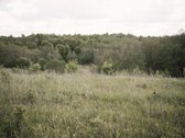 Parduodami 2, bendro 2,29 ha ploto, žemės - nuotraukos Nr. 5