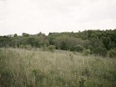 Parduodami 2, bendro 2,29 ha ploto, žemės - nuotraukos Nr. 6