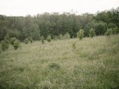 Parduodami 2, bendro 2,29 ha ploto, žemės - nuotraukos Nr. 8