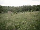 Parduodami 2, bendro 2,29 ha ploto, žemės - nuotraukos Nr. 9