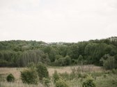 Parduodami 2, bendro 2,29 ha ploto, žemės - nuotraukos Nr. 10