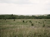 Parduodami 2, bendro 2,29 ha ploto, žemės - nuotraukos Nr. 11