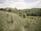 Parduodami 2, bendro 2,29 ha ploto, žemės - nuotraukos Nr. 16