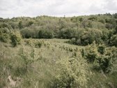 Parduodami 2, bendro 2,29 ha ploto, žemės - nuotraukos Nr. 17