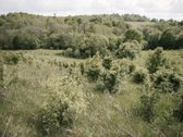 Parduodami 2, bendro 2,29 ha ploto, žemės - nuotraukos Nr. 18