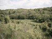 Parduodami 2, bendro 2,29 ha ploto, žemės - nuotraukos Nr. 20
