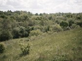 Parduodami 2, bendro 2,29 ha ploto, žemės - nuotraukos Nr. 19