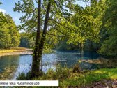 Kviečiame atvykti į Atvirų durų dieną! - nuotraukos Nr. 19