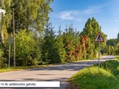 Kviečiame atvykti į Atvirų durų dieną! - nuotraukos Nr. 20