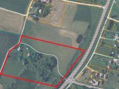 Nebrangi sodyba vos 6 km nuo Alytaus miesto - nuotraukos Nr. 11