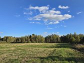 Parduodamas 3,5767 ha žemės sklypas Molėtų - nuotraukos Nr. 5