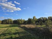 Parduodamas 3,5767 ha žemės sklypas Molėtų - nuotraukos Nr. 6