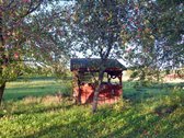 Parduodama sodyba prie Galuonų ežero Miežonių - nuotraukos Nr. 29