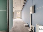  – Nt ekspertai be procentų - nuotraukos Nr. 15
