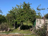 Parduodamas Jaukus Sodas Kiškėnų K., SB - nuotraukos Nr. 11