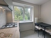 Antakalnyje nuomojamas jaukus dviejų kambarių - nuotraukos Nr. 13