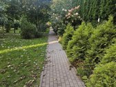 Parduodamas Šviesus Ir Erdvus 2 Kambarių - nuotraukos Nr. 32