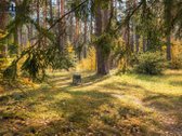 Parduodamas šviesus ir jaukus dviejų kambarių - nuotraukos Nr. 13