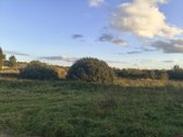 Vilniaus rajone, Maišiagalos miestelyje, - nuotraukos Nr. 3