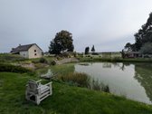 Jauki Ir Išpuosėlėta Sodyba Prie Miško – 168 - nuotraukos Nr. 4