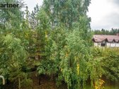 Parduodamas trijų kambarių butas Antakalnyje, - nuotraukos Nr. 17