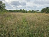 Parduodamas sklypas prie Kauno Marių - nuotraukos Nr. 5